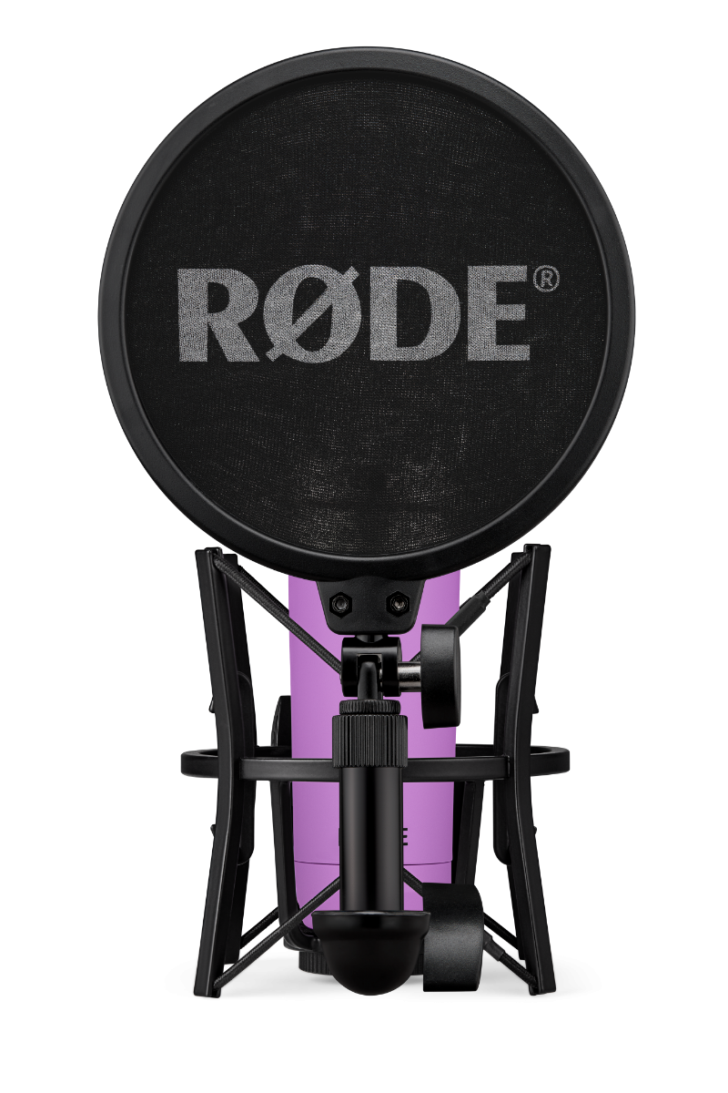 ロドリ NT1 SIGNATURE SERIES PURPLE | STUDIO CONDENSER MICROPHONE | Tom