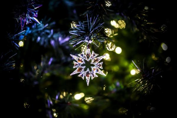 Swarovski Christmas Tree Lighting