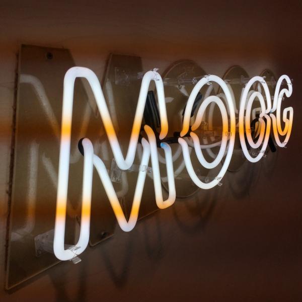 Moog Modular
