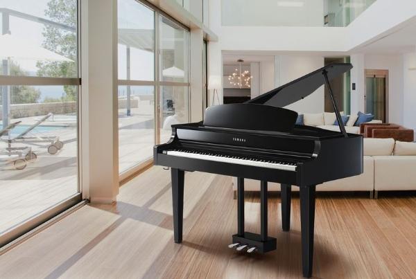 Digital & Hybrid Piano