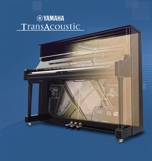 TransAcoustic Piano