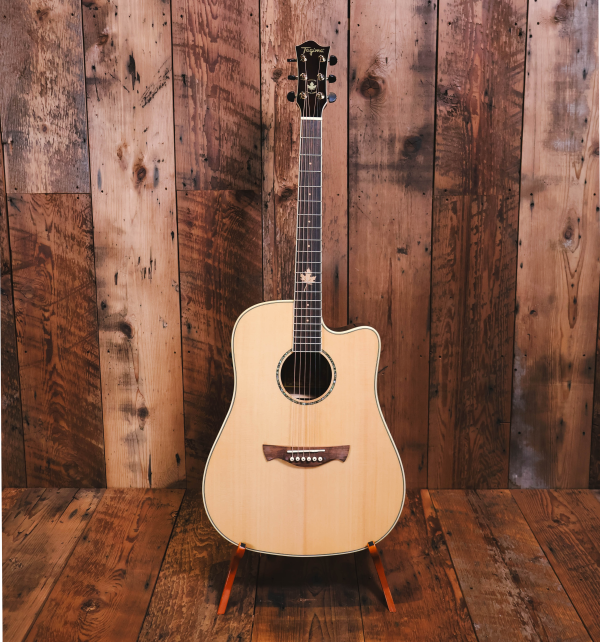 Why the Tagima Vancouver EQ is the perfect Summer Guitar