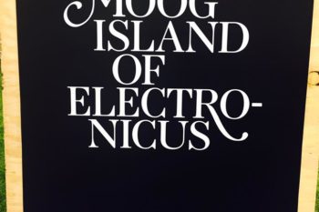 Moog Island