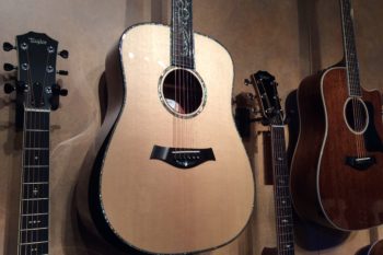 Taylor Dreadnaught with Abalone Fretboard Inlay