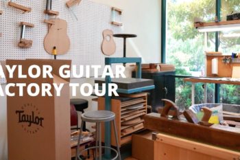 Taylor Factory Guitar Tour 2021