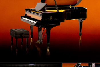The Steinway Sunburst Limited Edition